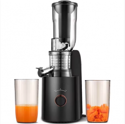 2 Pcs Home Slow Juicer